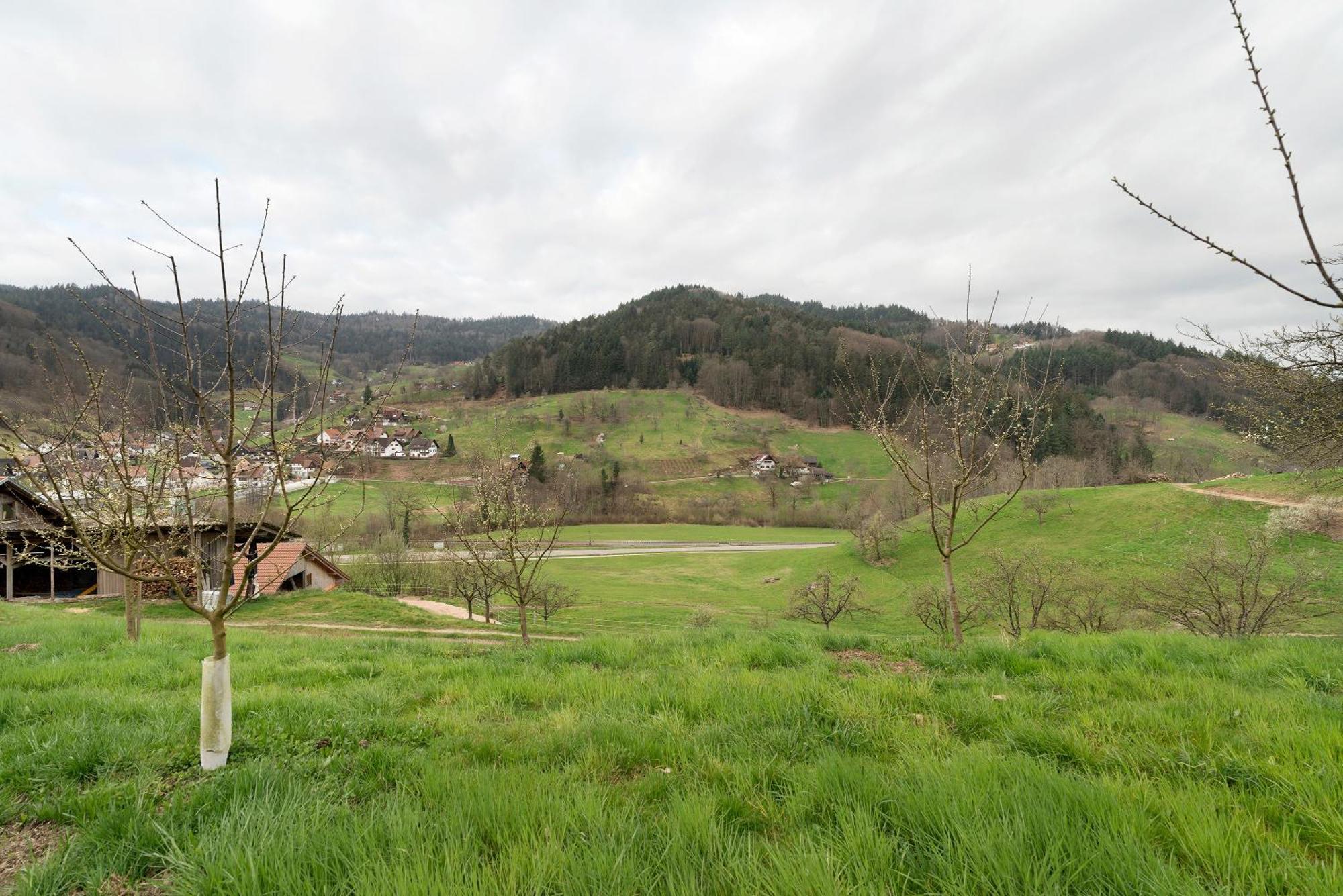 Haus Am Schroffen Appartamento