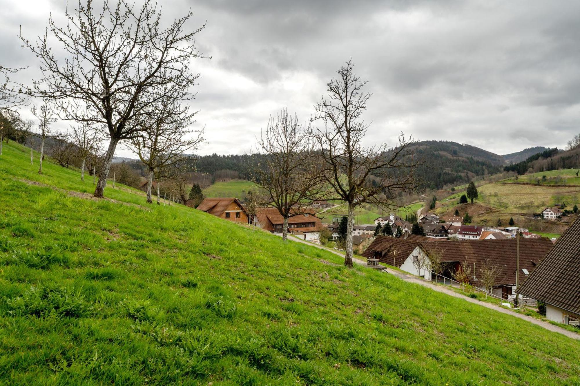 Apartment Haus Am Schroffen Ottenhofen im Schwarzwald